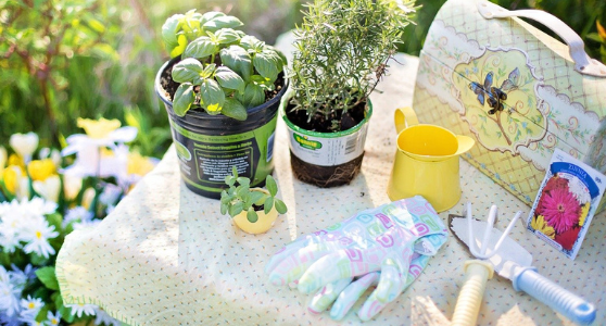 Wholesale Products to sell Online - Gardening Supplies