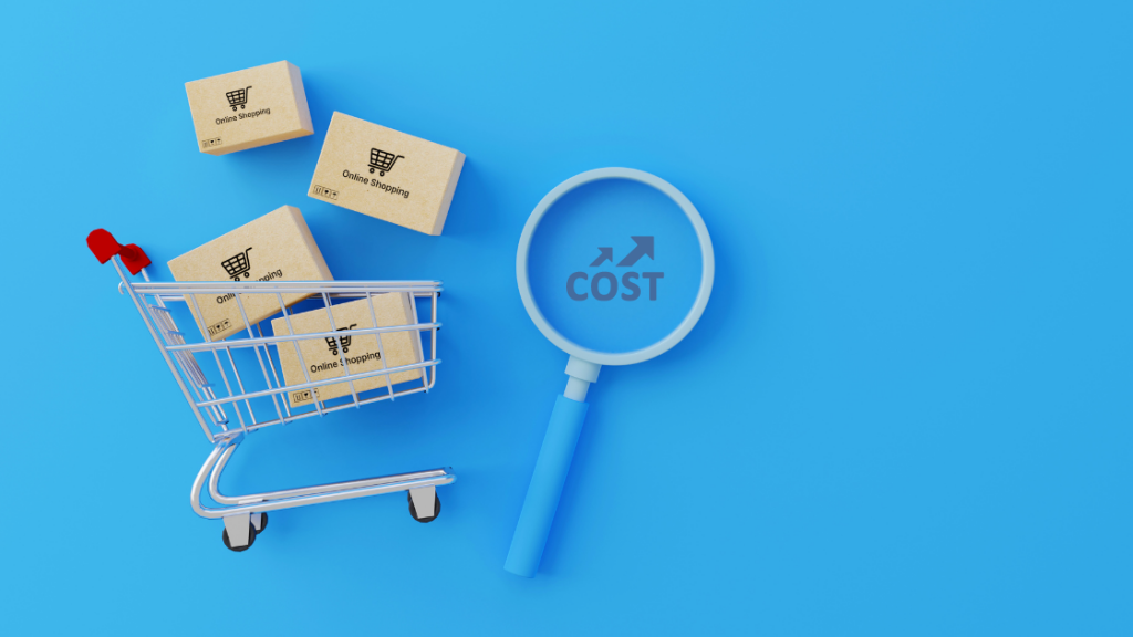 cost to build an ecommerce website