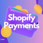Shopify Payments - All You Need To Know
