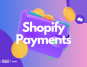 Shopify Payments - All You Need To Know