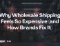wholesale shipping feels so expensive