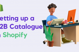 Hoe to set up a b2b catalogue in Shopify