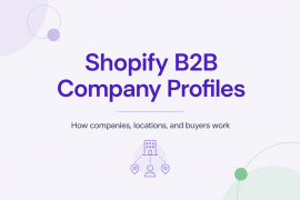 Shopify B2B Company Profiles Explained