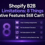 Shopify B2B Limitations