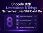 Shopify B2B Limitations